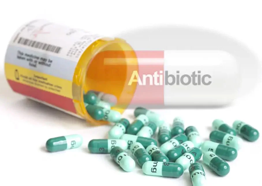 anibiotics-drug
